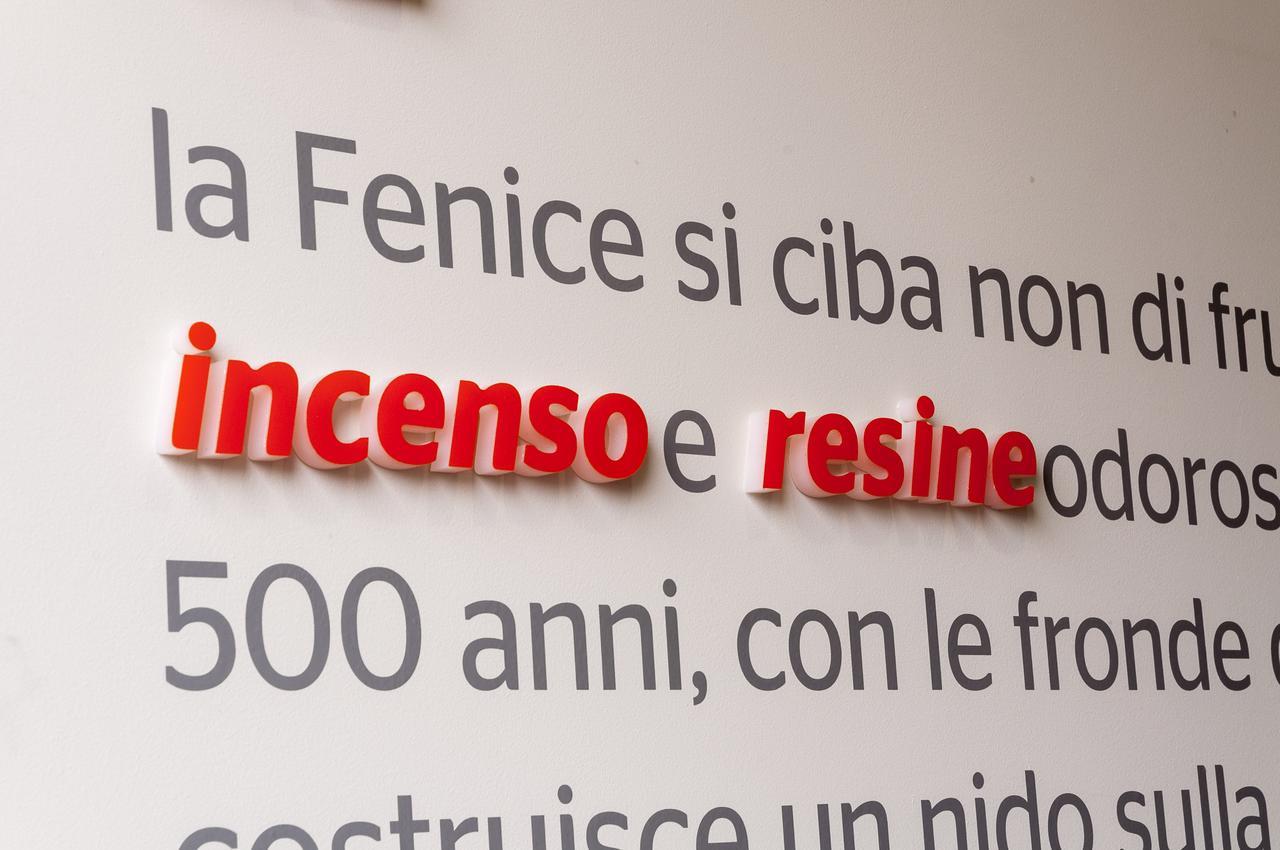Villa Fenix Osio Sotto Ngoại thất bức ảnh